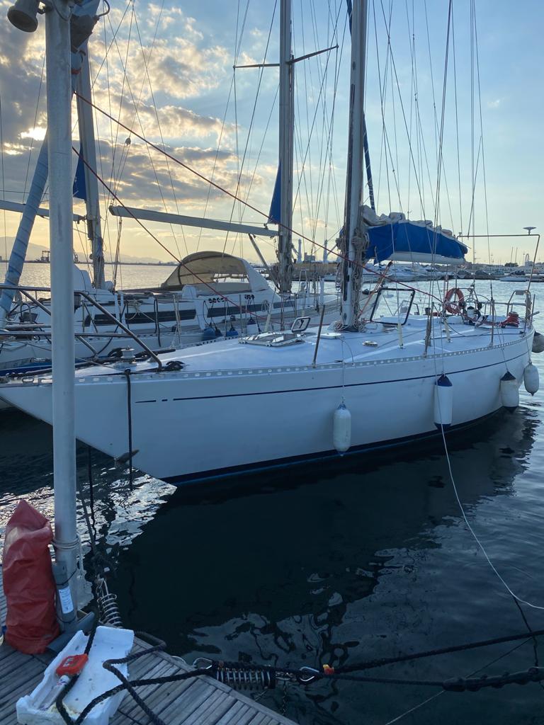 Orca 43